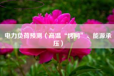 电力负荷预测（高温“烤问”、能源承压）