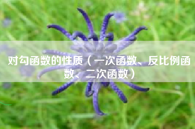 对勾函数的性质（一次函数、反比例函数、二次函数）
