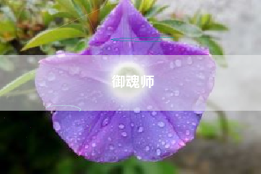 御魂师