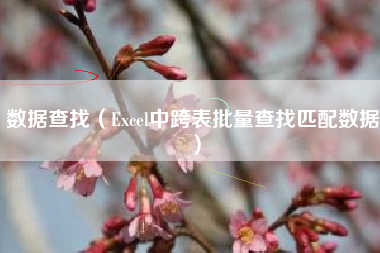 数据查找（Excel中跨表批量查找匹配数据）