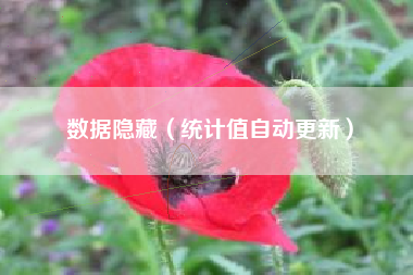 数据隐藏（统计值自动更新）