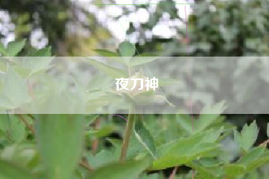 夜刀神