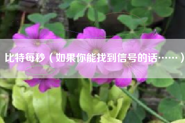 比特每秒（如果你能找到信号的话……）