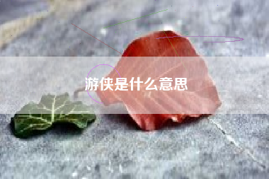 游侠是什么意思