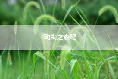 动物之森吧
