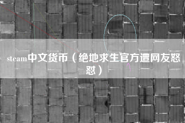 steam中文货币（绝地求生官方遭网友怒怼）