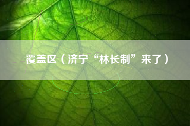 覆盖区（济宁“林长制”来了）