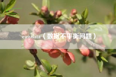 easydata（数据不平衡问题）