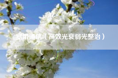 宽带通信（高效光衰弱光整治）