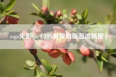 csgo光影fps（FPS游戏的画面流畅度）