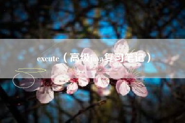 excute（高级java复习笔记）