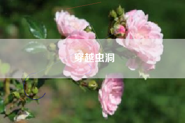 穿越虫洞