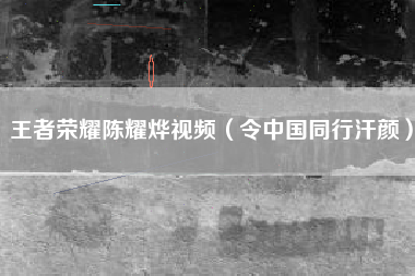 王者荣耀陈耀烨视频（令中国同行汗颜）