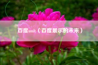 百度unit（百度展示的未来）