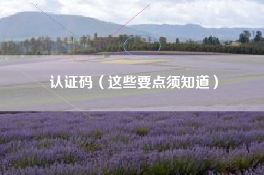 认证码（这些要点须知道）