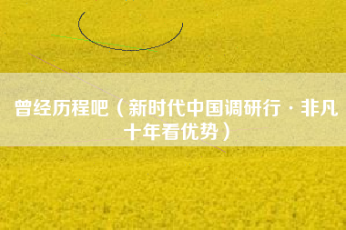 曾经历程吧（新时代中国调研行·非凡十年看优势）