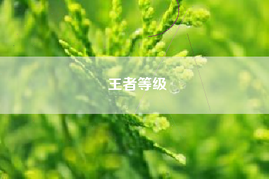 王者等级