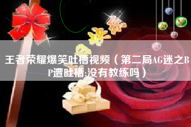 王者荣耀爆笑吐槽视频（第二局AG迷之BP遭吐槽:没有教练吗）