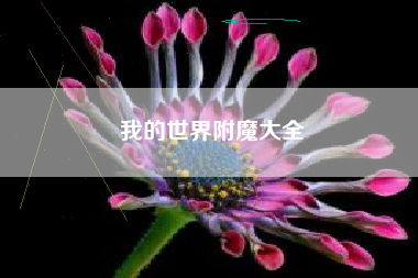 我的世界附魔大全