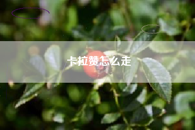 卡拉赞怎么走