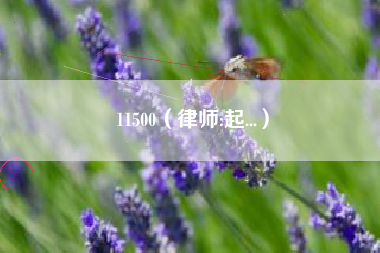 11500（律师:起...）