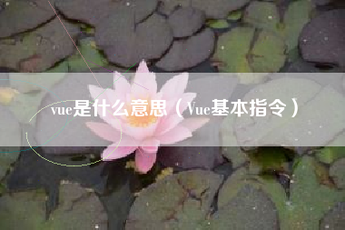 vue是什么意思（Vue基本指令）