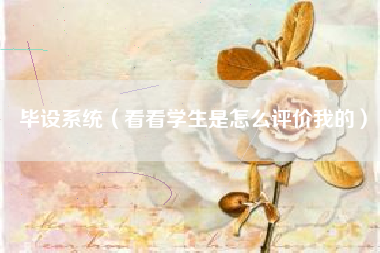 毕设系统（看看学生是怎么评价我的）