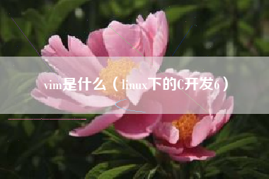 vim是什么（linux下的C开发6）