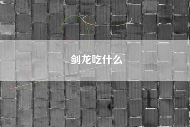 剑龙吃什么