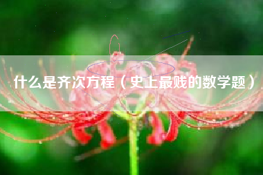 什么是齐次方程（史上最贱的数学题）