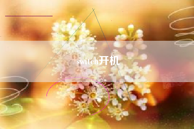 switch开机