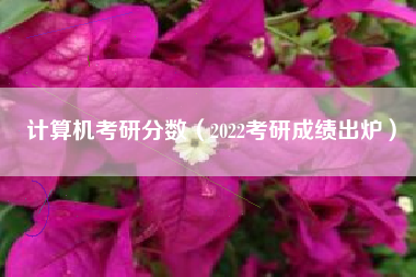 计算机考研分数（2022考研成绩出炉）