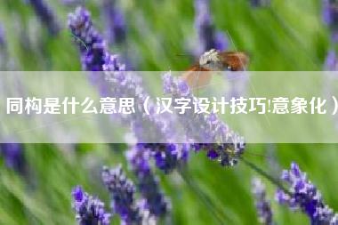 同构是什么意思（汉字设计技巧!意象化）
