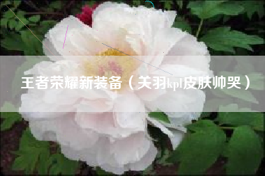 王者荣耀新装备（关羽kpl皮肤帅哭）