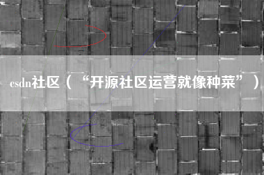csdn社区（“开源社区运营就像种菜”）