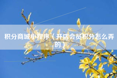 积分商城小程序（开店会员积分怎么弄的）