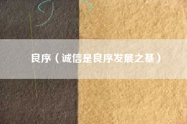 良序（诚信是良序发展之基）