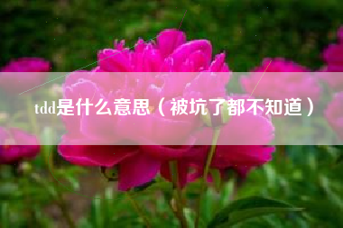 tdd是什么意思（被坑了都不知道）