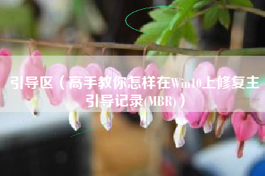 引导区（高手教你怎样在Win10上修复主引导记录(MBR)）