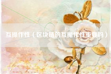 互操作性（区块链的互操作性重要吗）