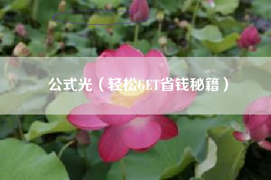 公式光（轻松GET省钱秘籍）