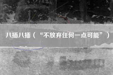 八插八插（“不放弃任何一点可能”）