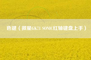 色键（微星GK71 SONIC红轴键盘上手）