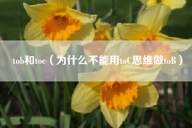 tob和toc（为什么不能用toC思维做toB）