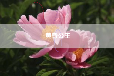 黄昏公主