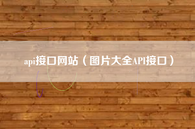 api接口网站（图片大全API接口）