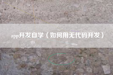 app开发自学（如何用无代码开发）