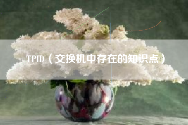 TPID（交换机中存在的知识点）