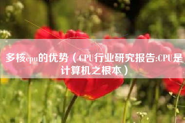 多核cpu的优势（CPU行业研究报告:CPU是计算机之根本）