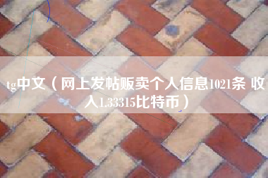 tg中文（网上发帖贩卖个人信息1021条 收入1.33315比特币）